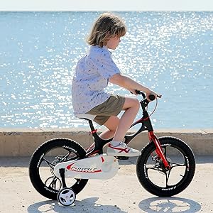 RoyalBaby Kinderfahrrad