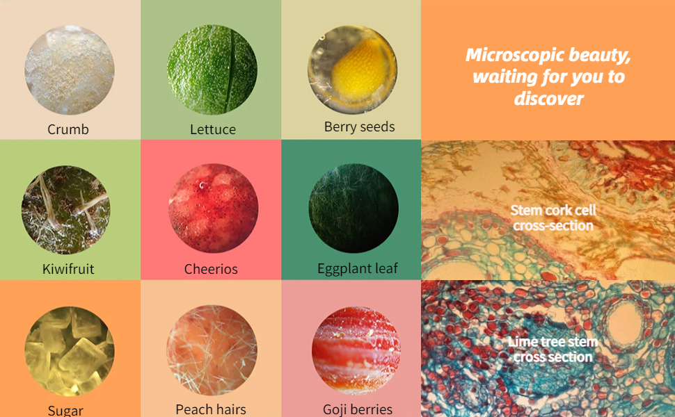 DAUERHAFT 400x Microscope Lens, Quick Focus Simple