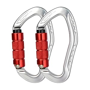silver carabiner clip