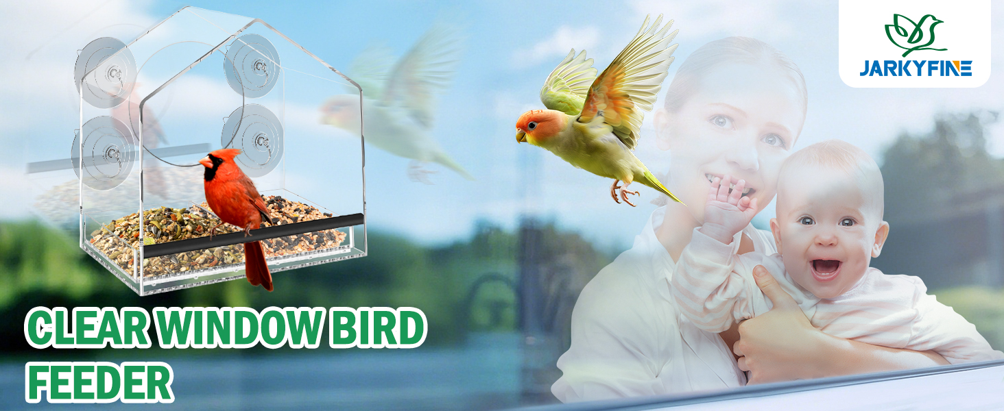 Jarkyfine window bird feeder