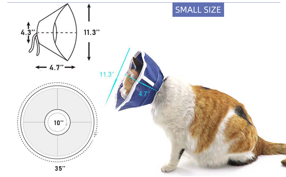 cat recovery collar & cone