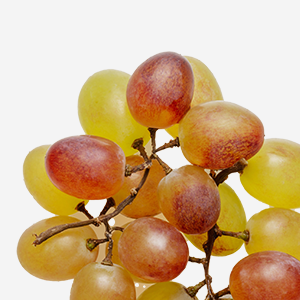 • Resveratrol