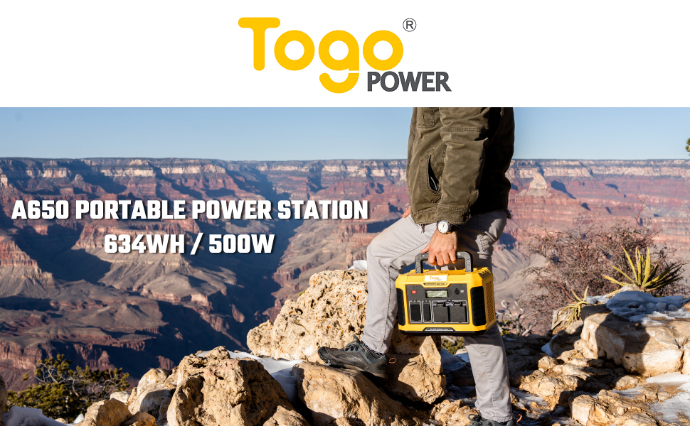 Togo POWER A650 Portable Power Station, 634Wh/500W Solar Generator with