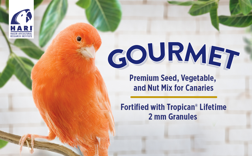 gourmet canary