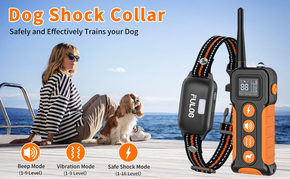 dog shock collar