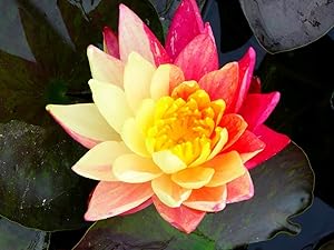 Small manufacture image 1