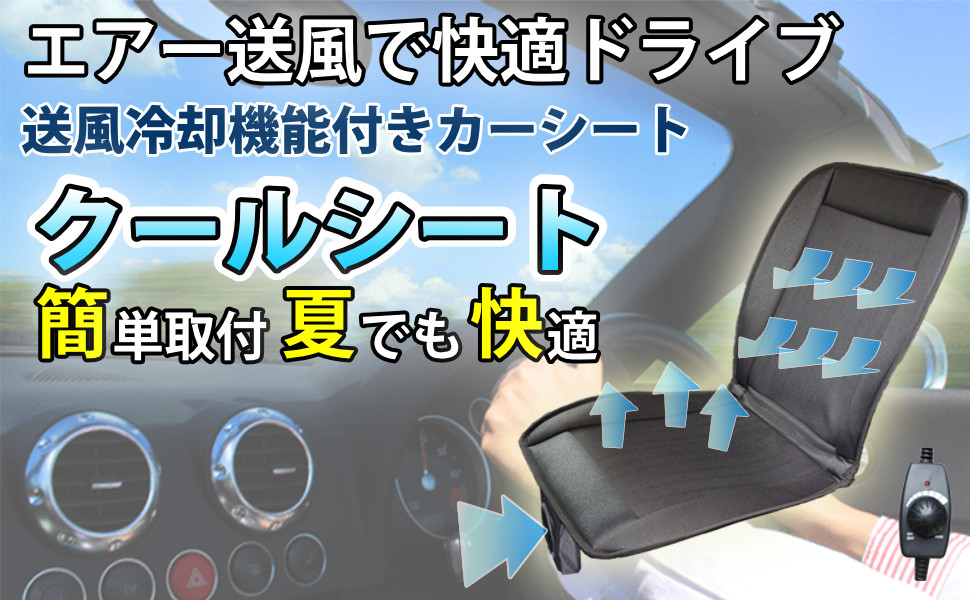 ⭐️プレイシート⭐️手渡し限定販売 ⭐️とても美品⭐️カードライビングゲーム 楽天市場】トヨタ 互換品 ヴォクシー 90系 Carplay カープレイ