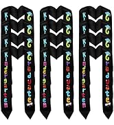 12 Pcs Kindergarten Graduation Stoles, Unisex Preschool Graduation Sash, Printed Satin Sash Gradu...