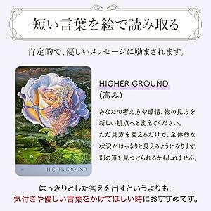 Amazon.co.jp: Gammiオラクルカード 日本語解説書付き