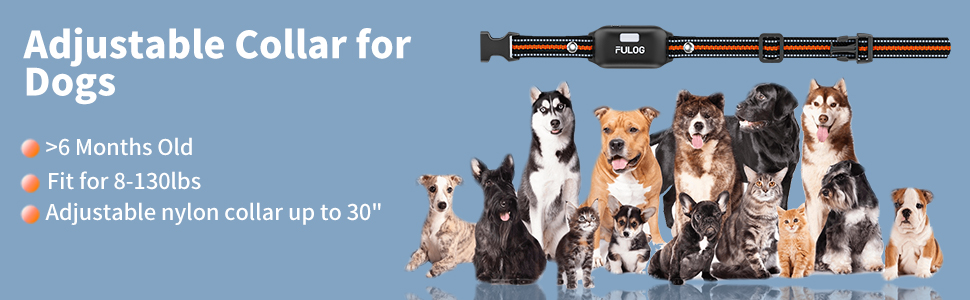 electric dog collar