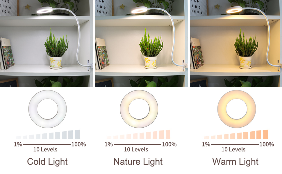 LED Desk Ring light with Clamp 2