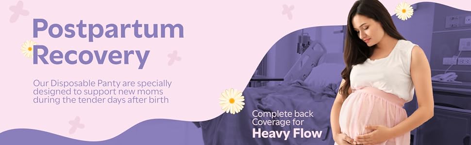 Dreamease Period panty for heavy flow 