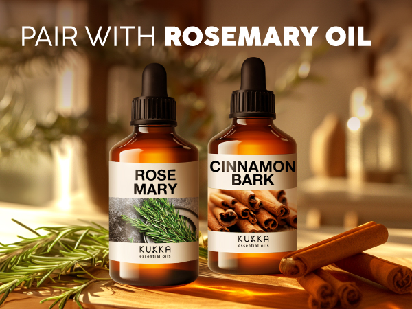 essential oil humidifier essential oil soap essential oils cinnamon essential oils cinnamon oils