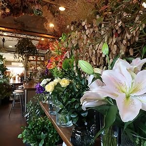 right, Clear Shots Anywhere with PowerShot V1’s Fast Aperture and ND Filter