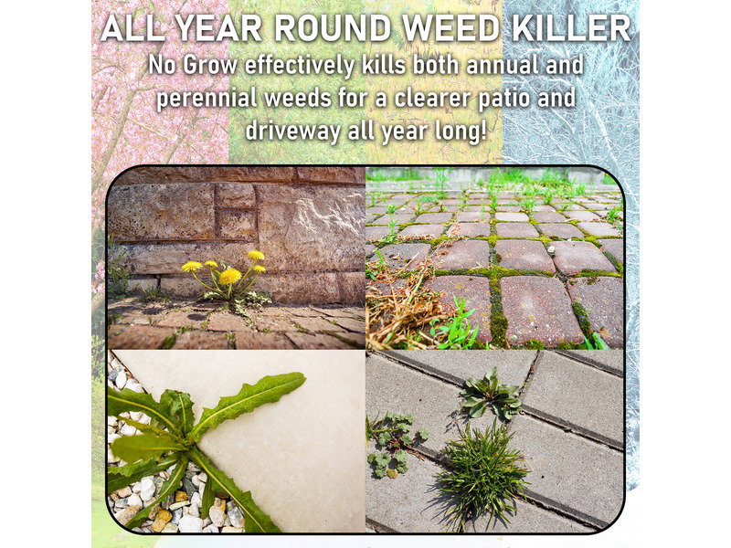 Pro-Kleen No Grow Moss & Weed Killer