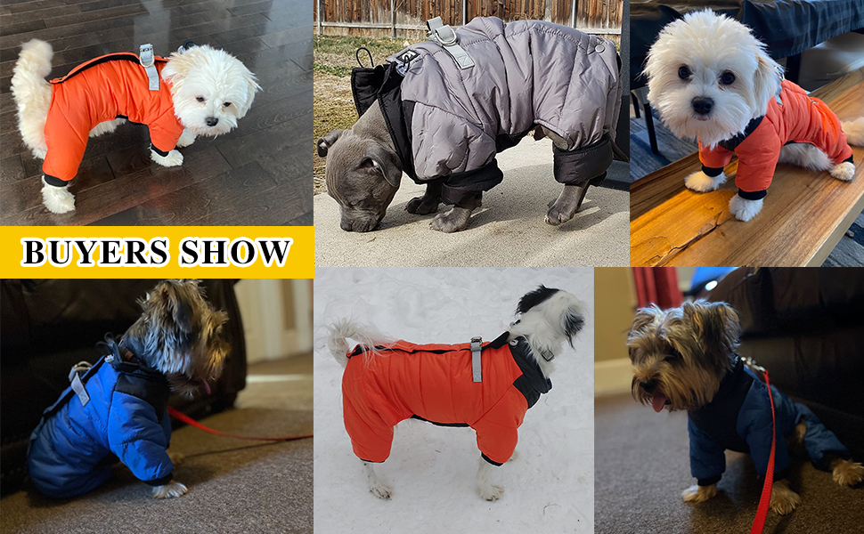 COLOFFE Dog Winter Coat,Dog Snowsuit Ultralight Extra Waterproof Dog Winter Jacket Warm Fullbody