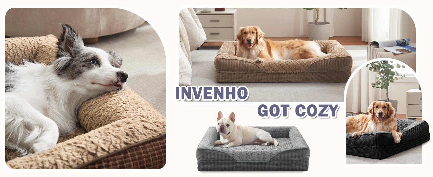 large dog beds clearance prime