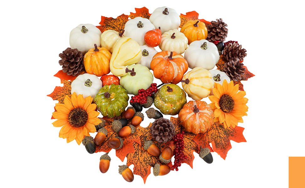 Winlyn Assorted Harvest and Baby Boo Pumpkins and Gourds