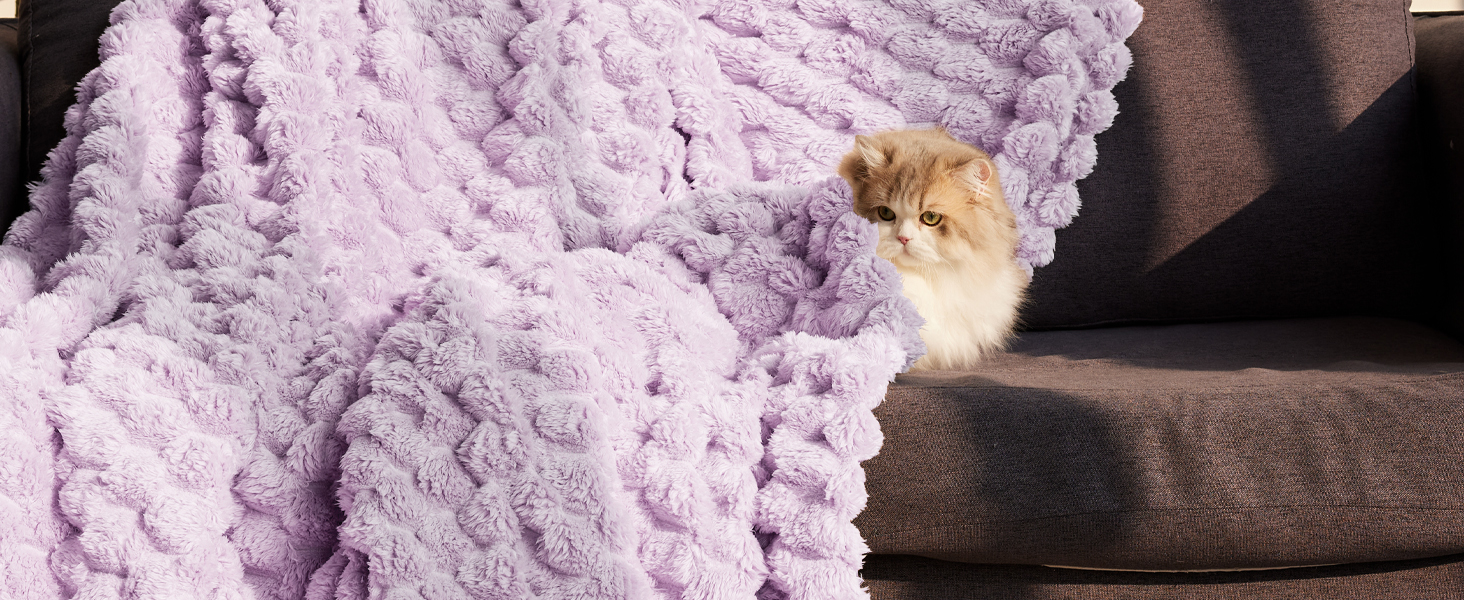 blanket
