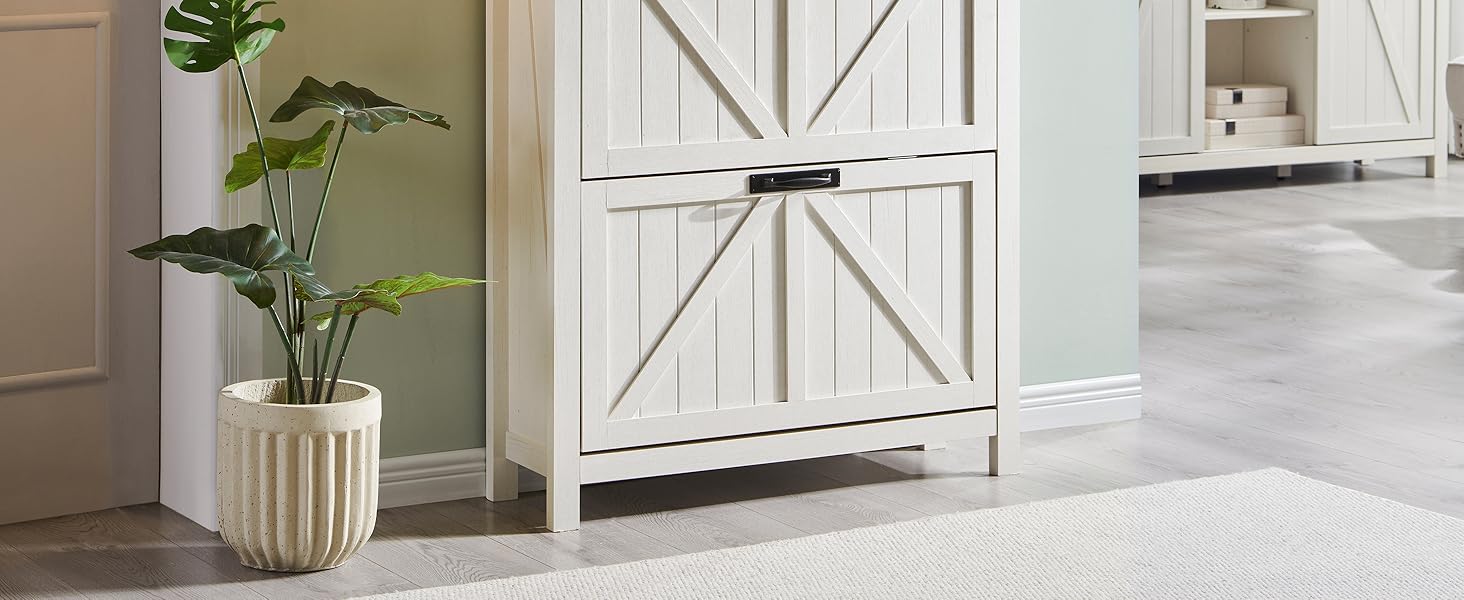 shoe sotrage cabinet