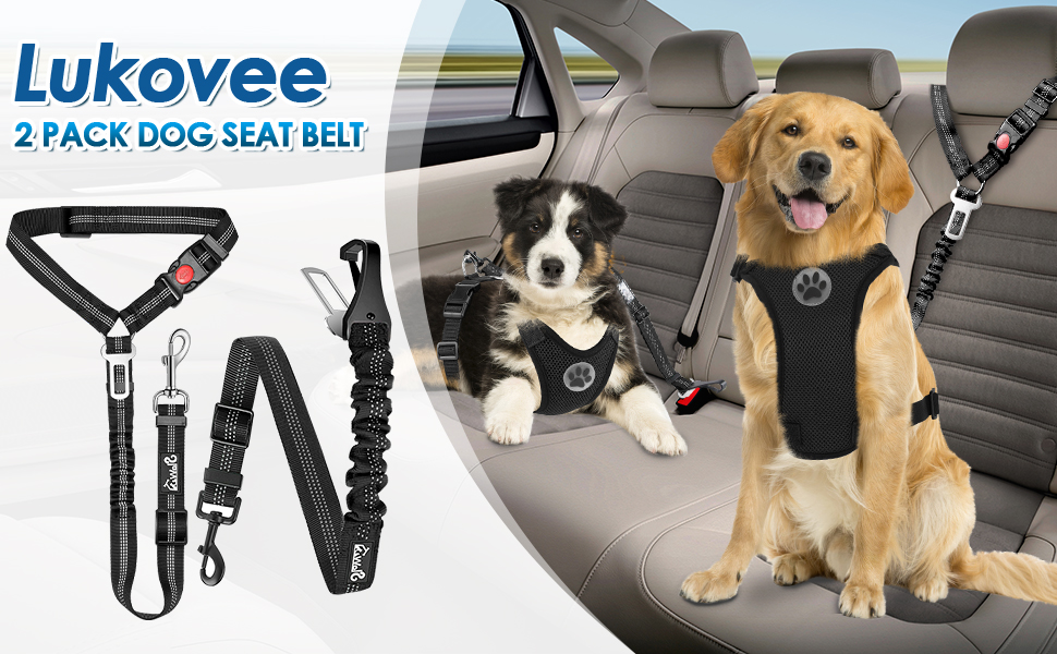 Dog Seatbelt