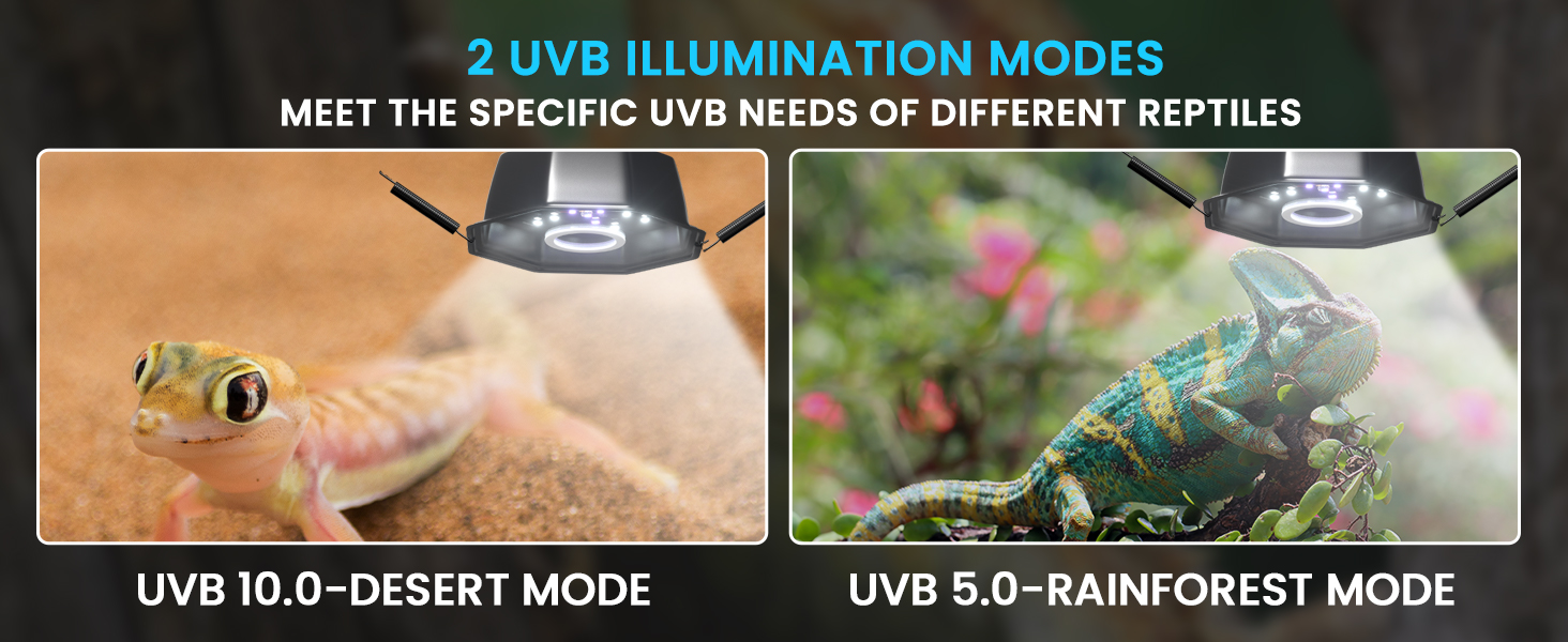 UVB Reptile Light with Dimming