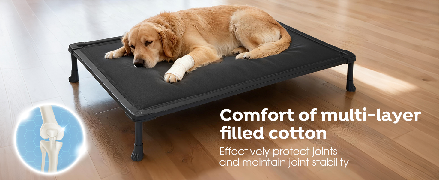 bolster dog bed
