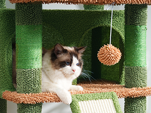 Small manufacture image 1