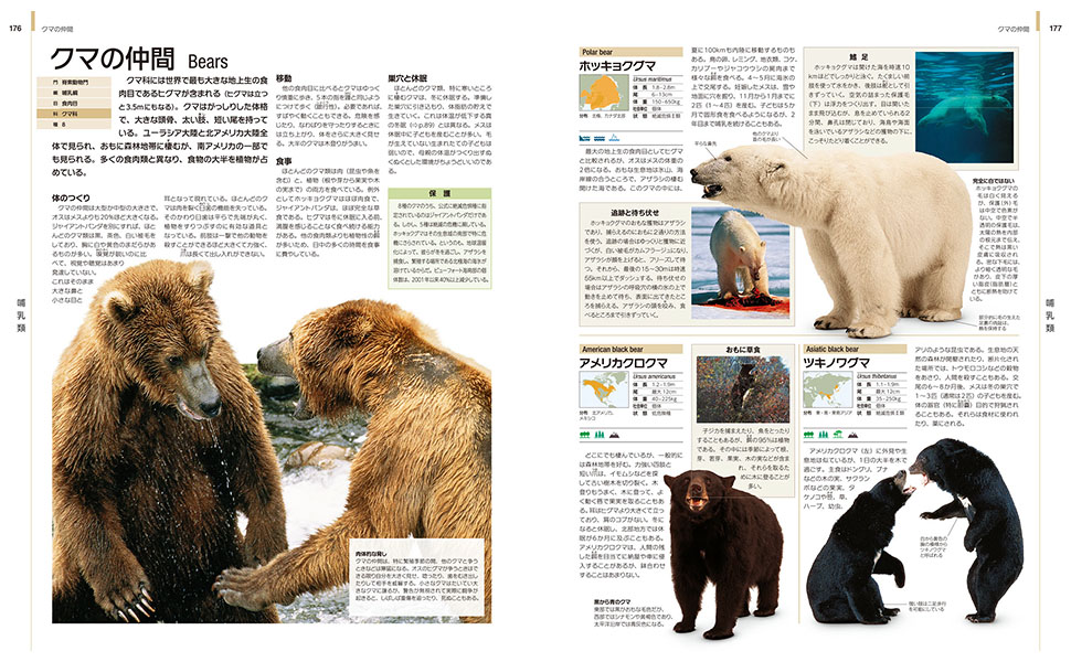 世界動物大図鑑 910cKKEbKpL._UF1000,1000_QL80_.jpg