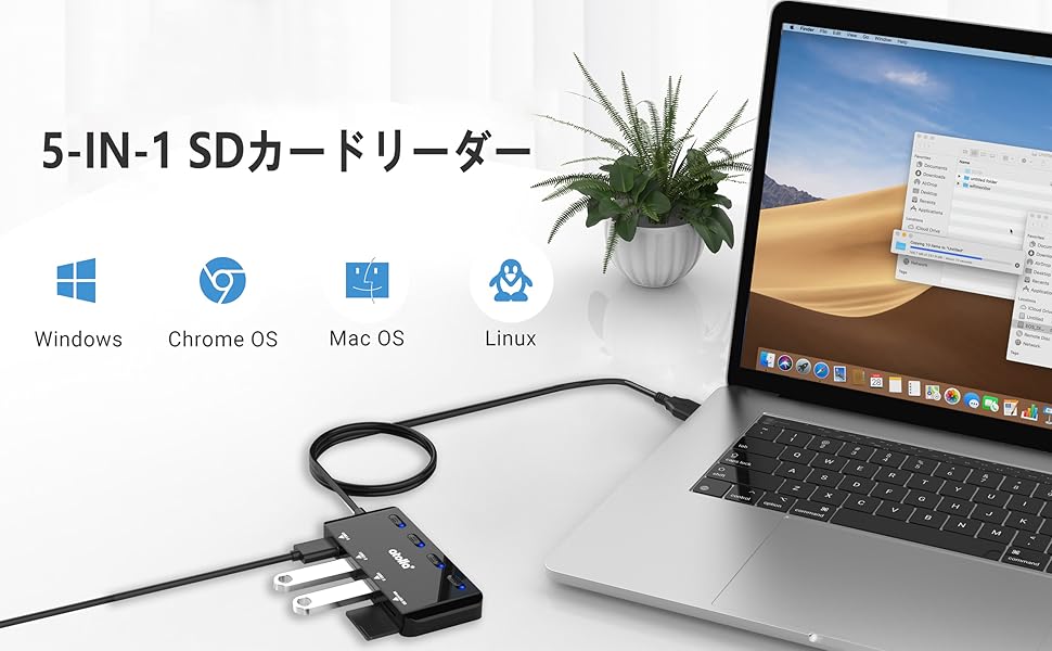 SD Card Reader