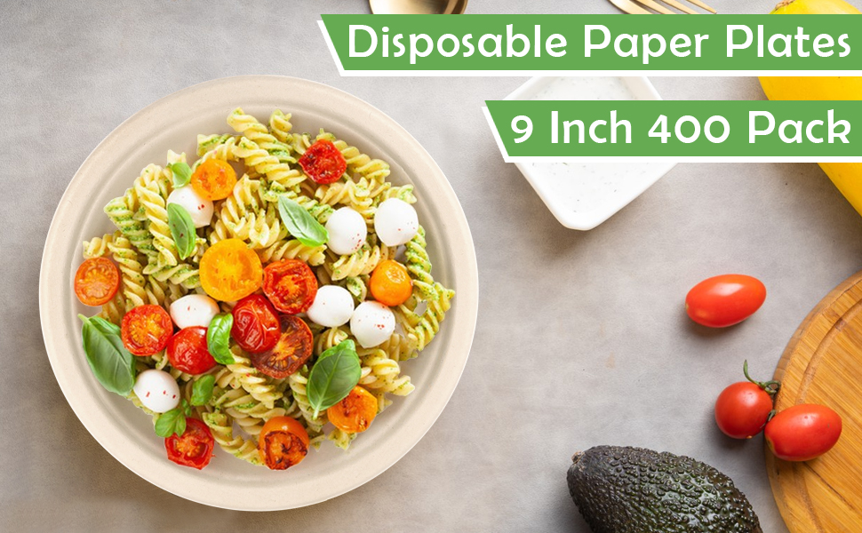 EcoAvance Bulk Paper Plates Disposable, 9 inch Paper Plates 400 Pack, 100