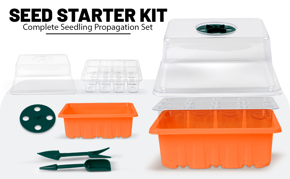 Seedling Propagation