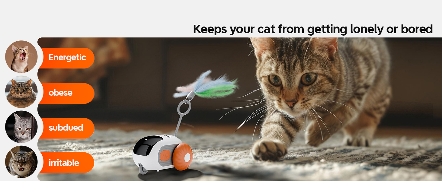 Interaktives Katzenspielzeug mit einem orange-weißen mechanischen Gerät mit Federbefestigung. Dargestellt mit verhaltensbezogenen Stimmungsindikatoren für Katzen.