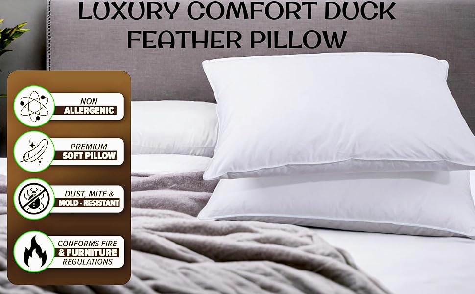 4All 1200gsm Duck Feathers Pillows Pack of 2 Hypoallergenic Support Hotel Down Pillow for Head