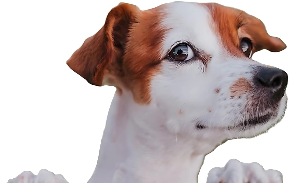 dog hiking harness dog harness backpack dog hiking gear pet backpack carrier backpack for dogs