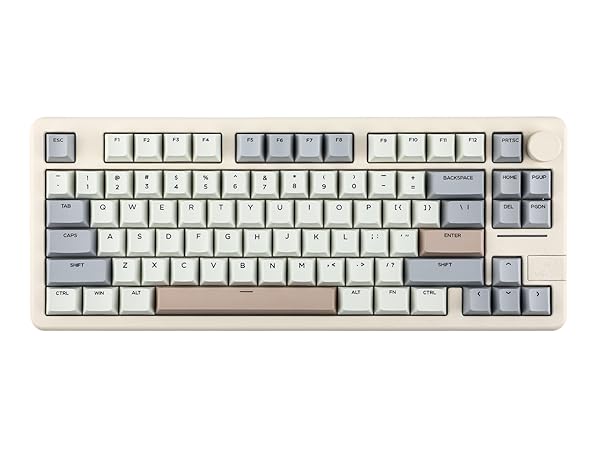 EPOMAKER x Feker Galaxy80 メカニカルキーボード バナナ Amazon.com: EPOMAKER x Feker Galaxy80 Gaming Keyboard