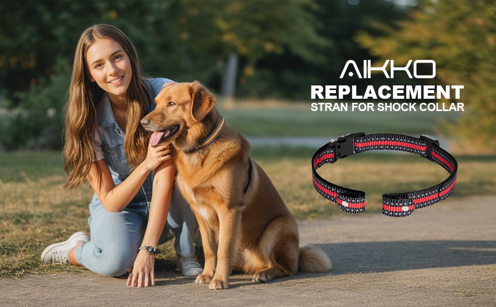 dog shock collar replacement