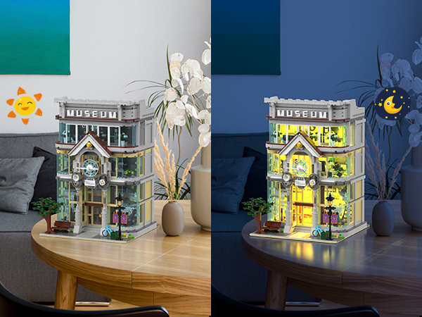 Amazon.com: JMBricklayer Building Blocks for Adults Science