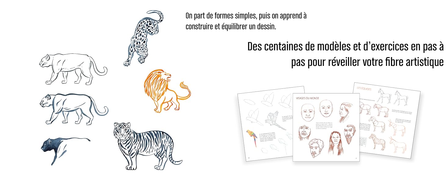 Le dessin facile Des créations réussies tout simplement ! Herzog, Lise Amazon.fr Livres Le dessin facile Des créations réussies tout simplement ! Herzog, Lise Amazon.fr Livres