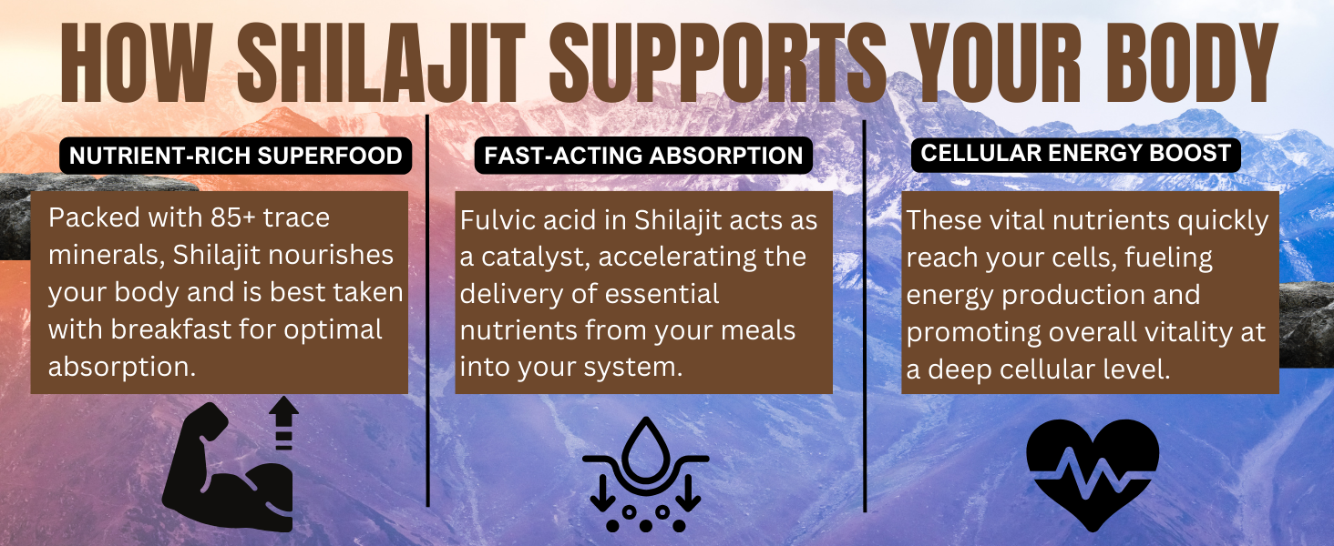 BODY SUPPORT