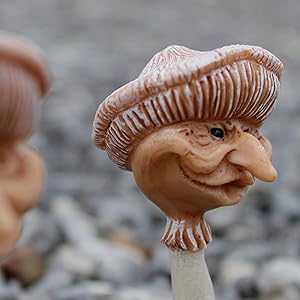 FACE3 3