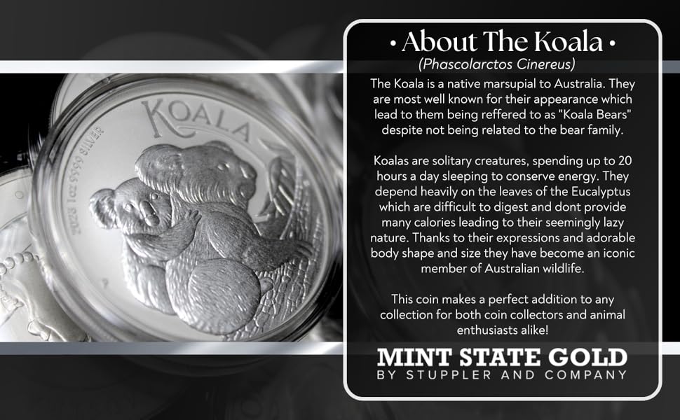 about koala