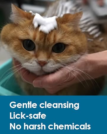 gentle cleansing