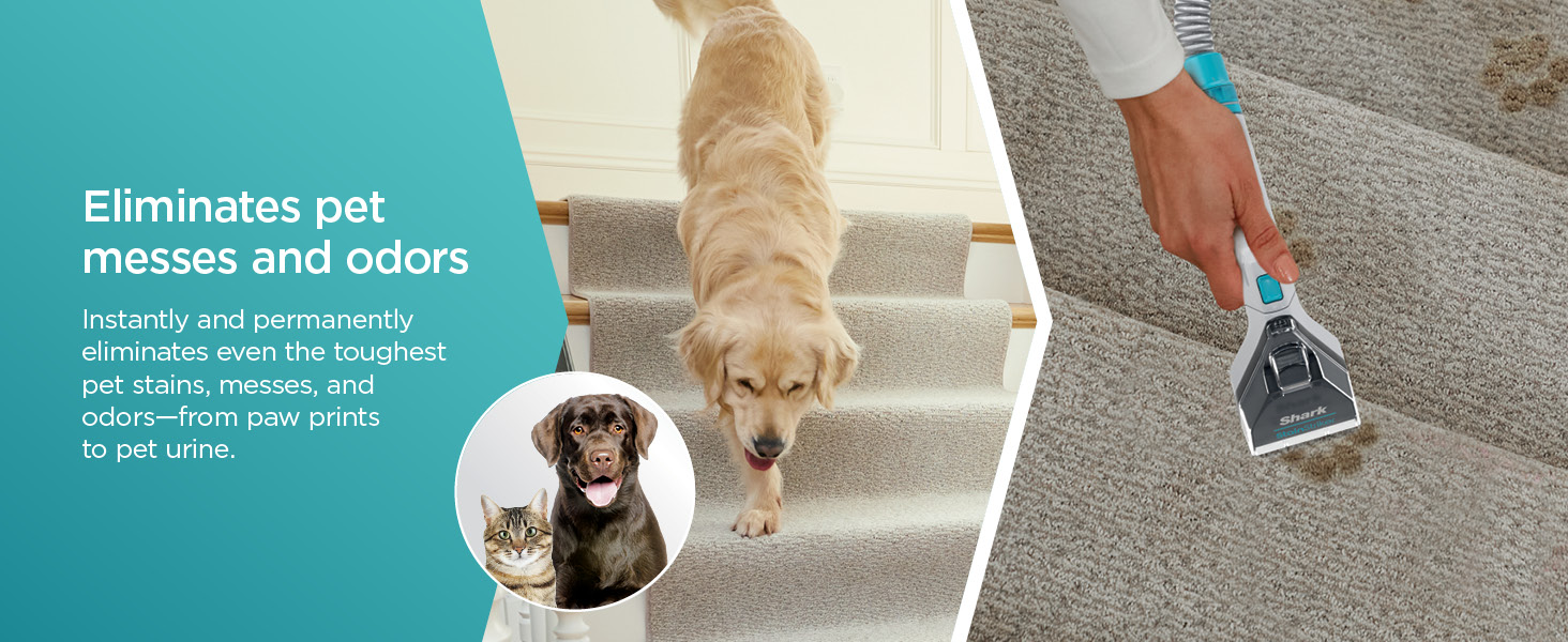 Shark EX201 CarpetXpert Upright Carpet, Area Rug