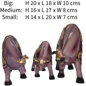 bull family pair 102