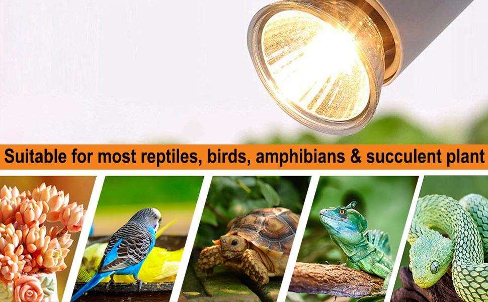 Vinaco UVA UVB Reptile Light 25W/50W，Full Spectrum 360