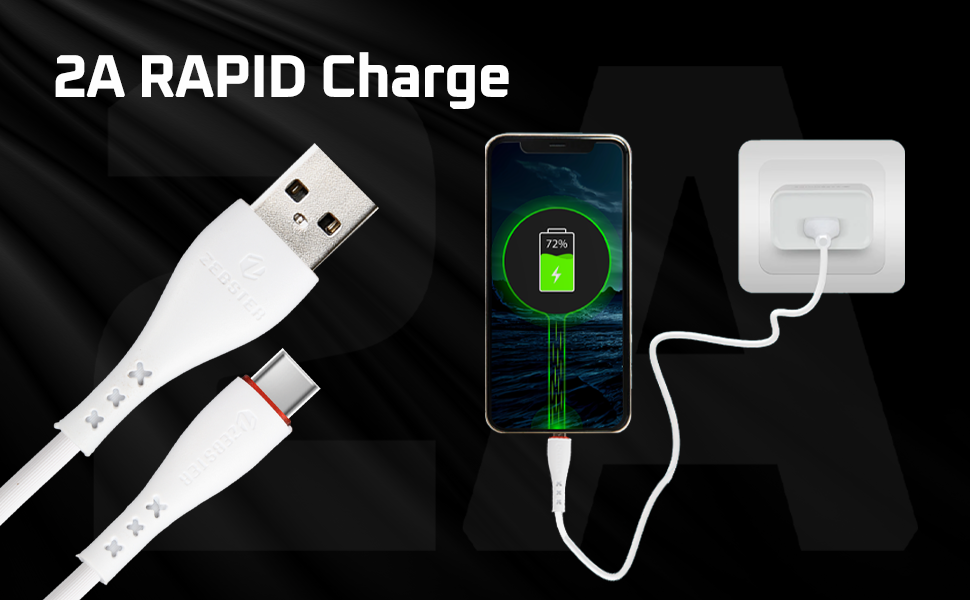 ZEBSTER Z - CC100 USB to Type C Fast Charging Cable, 2A Charge & Sync ...