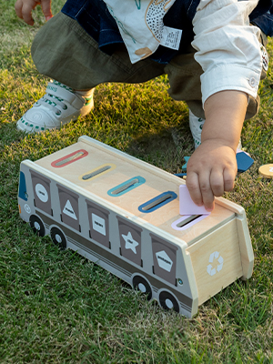 fine motor skill toy