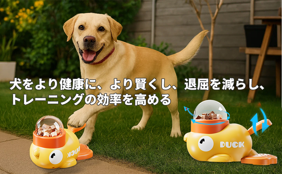 自動フィーダー