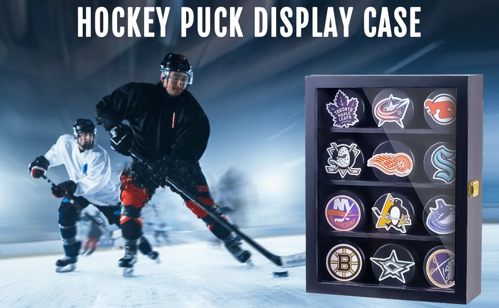 wall mount Hockey Puck Display Case